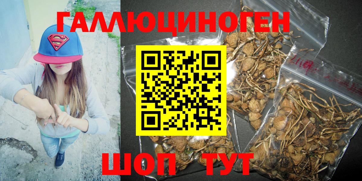 Галлюциногенные грибы GOLDEN TEACHER Канск