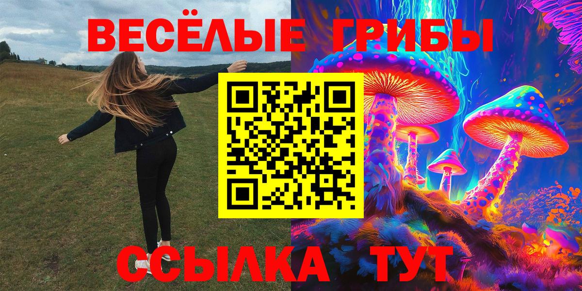 Канск  Галлюциногенные грибы Cubensis  Вход с VPN 